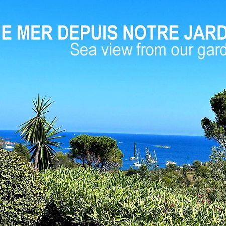 Dans Un Cadre D'Exception, Vue Mer Panoramique A Agay Cote D'Azur, Village Vacances Cap Esterel, T2 Avec Jardin, Golf, Climatisation, Wifi, 5 Piscines Saint-Raphaël 外观 照片