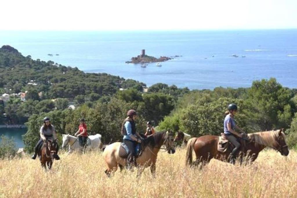 Dans Un Cadre D'Exception, Vue Mer Panoramique A Agay Cote D'Azur, Village Vacances Cap Esterel, T2 Avec Jardin, Golf, Climatisation, Wifi, 5 Piscines Saint-Raphaël 外观 照片