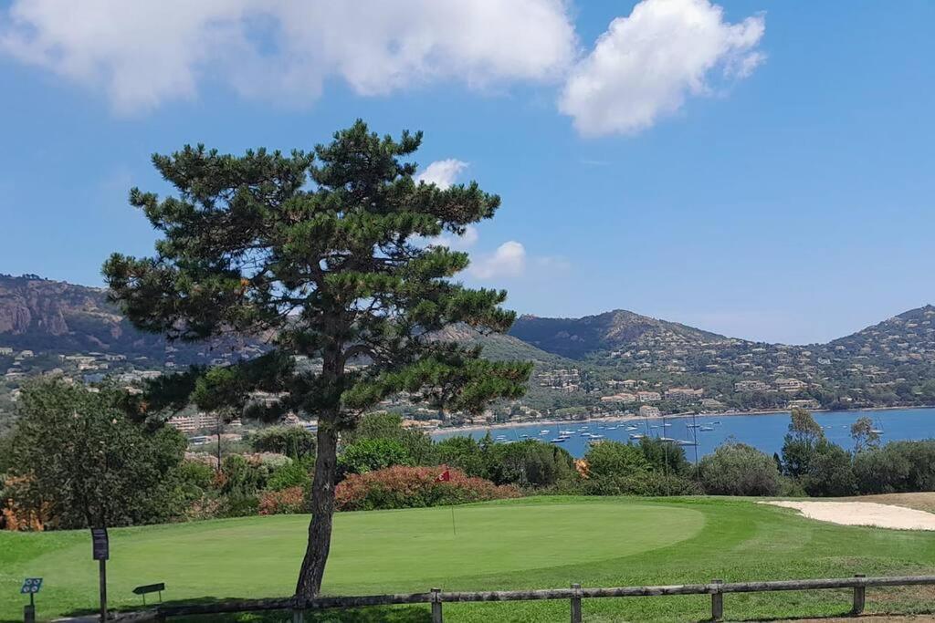 Dans Un Cadre D'Exception, Vue Mer Panoramique A Agay Cote D'Azur, Village Vacances Cap Esterel, T2 Avec Jardin, Golf, Climatisation, Wifi, 5 Piscines Saint-Raphaël 外观 照片