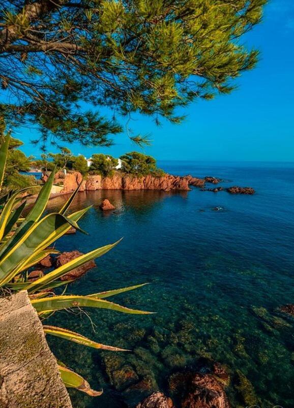 Dans Un Cadre D'Exception, Vue Mer Panoramique A Agay Cote D'Azur, Village Vacances Cap Esterel, T2 Avec Jardin, Golf, Climatisation, Wifi, 5 Piscines Saint-Raphaël 外观 照片